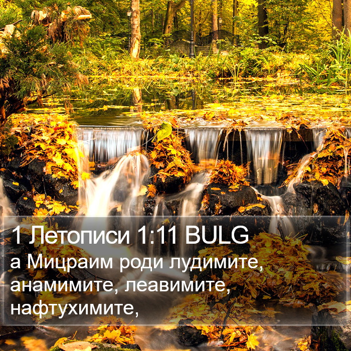 1 Летописи 1:11 BULG Bible Study