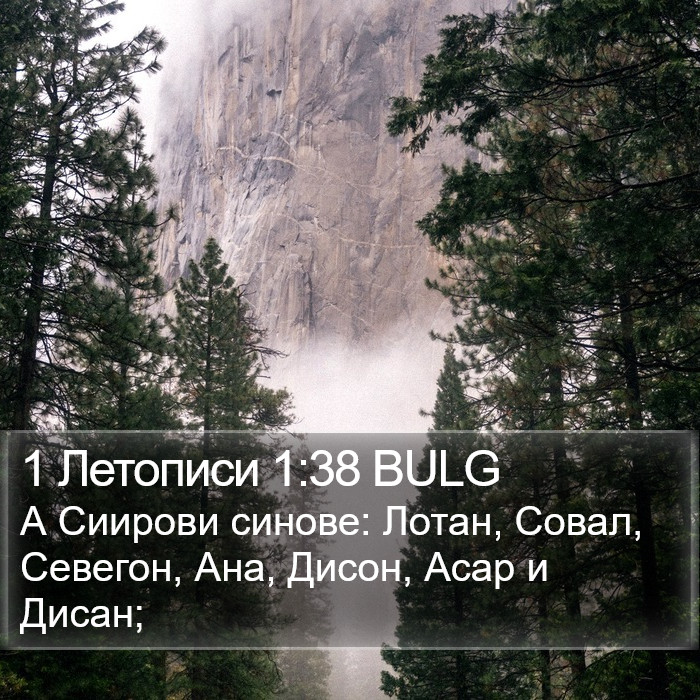 1 Летописи 1:38 BULG Bible Study