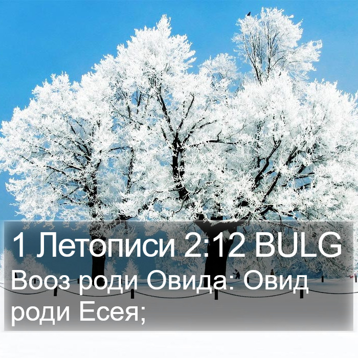 1 Летописи 2:12 BULG Bible Study