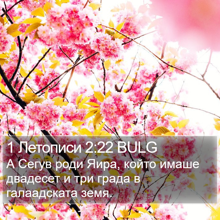 1 Летописи 2:22 BULG Bible Study