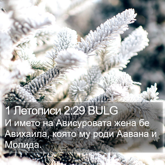 1 Летописи 2:29 BULG Bible Study