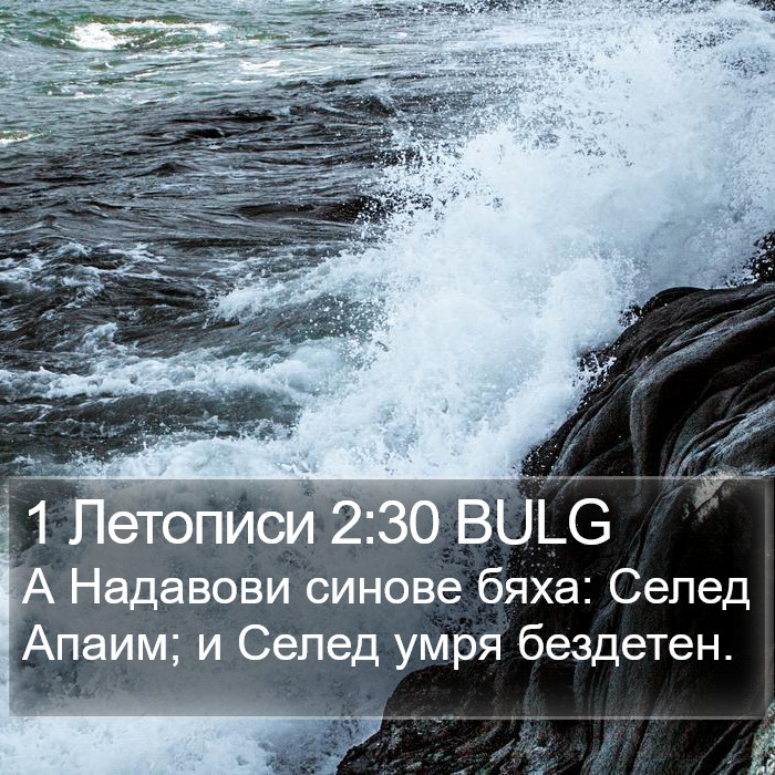 1 Летописи 2:30 BULG Bible Study