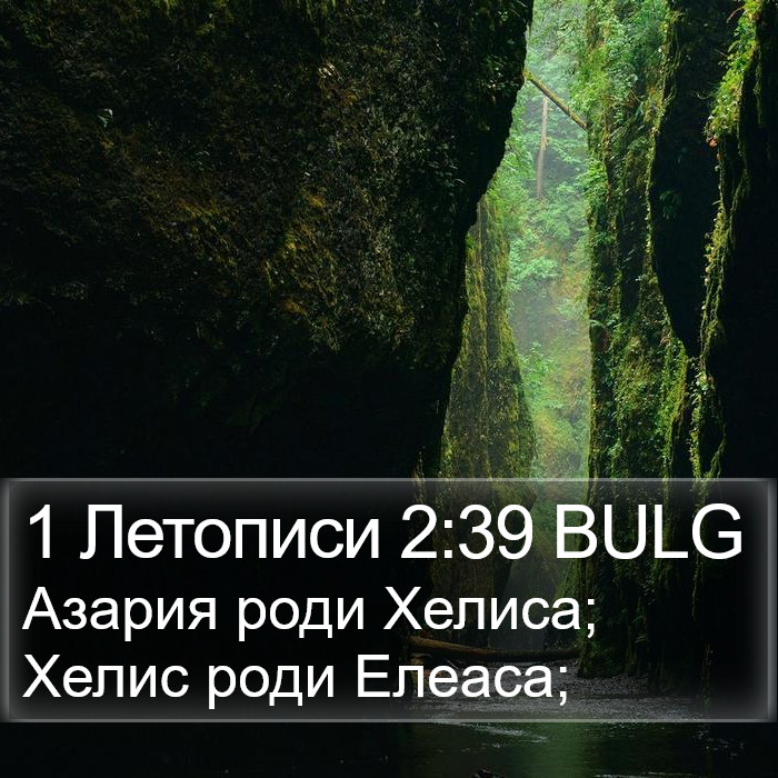 1 Летописи 2:39 BULG Bible Study