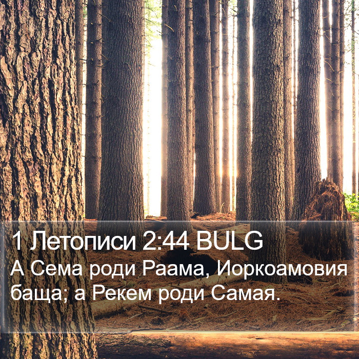 1 Летописи 2:44 BULG Bible Study