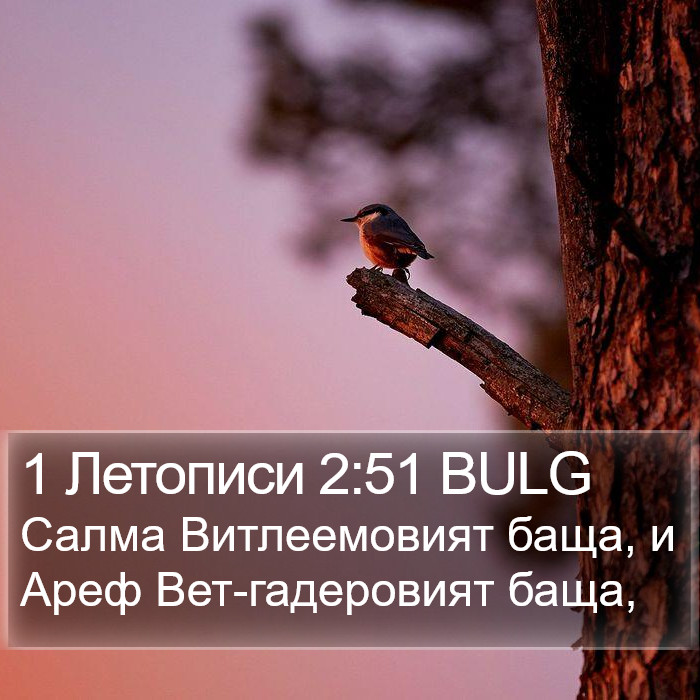 1 Летописи 2:51 BULG Bible Study