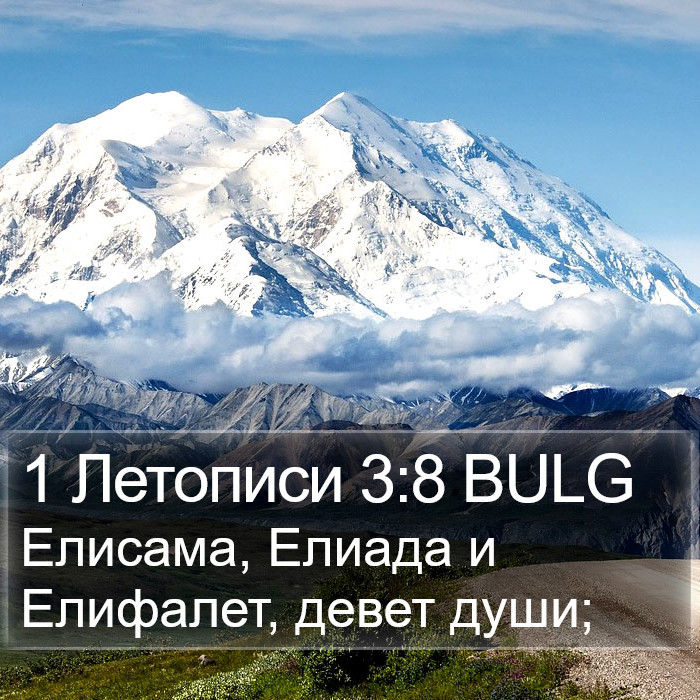 1 Летописи 3:8 BULG Bible Study