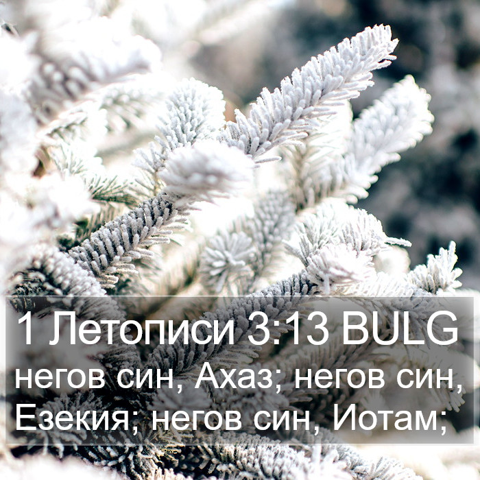 1 Летописи 3:13 BULG Bible Study