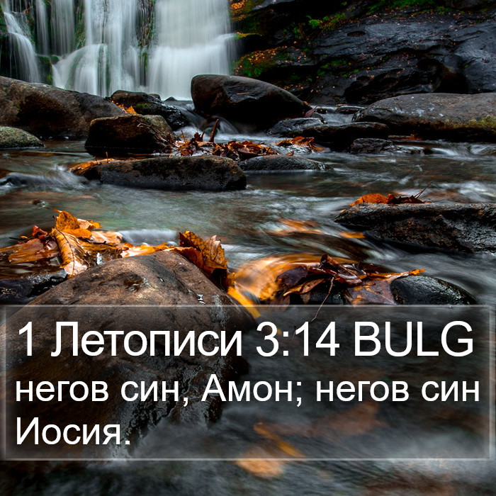 1 Летописи 3:14 BULG Bible Study
