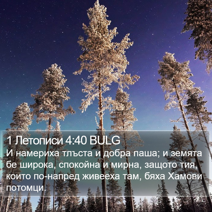 1 Летописи 4:40 BULG Bible Study