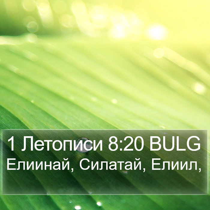 1 Летописи 8:20 BULG Bible Study