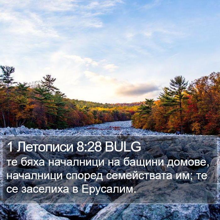 1 Летописи 8:28 BULG Bible Study