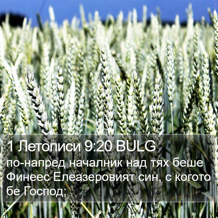 1 Летописи 9:20 BULG Bible Study