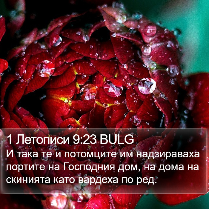 1 Летописи 9:23 BULG Bible Study
