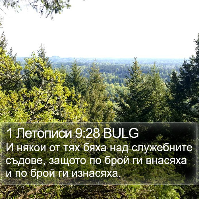 1 Летописи 9:28 BULG Bible Study
