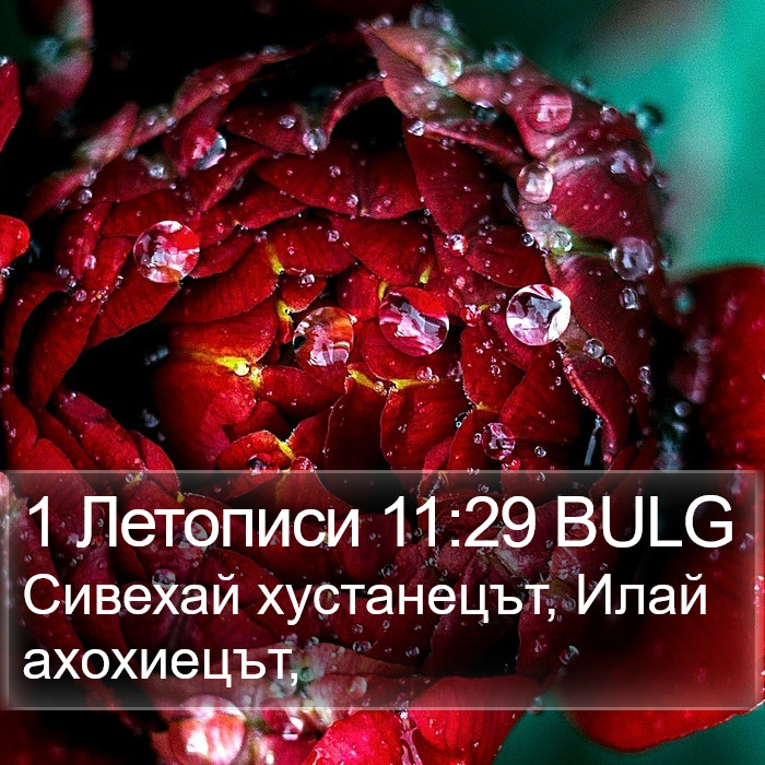 1 Летописи 11:29 BULG Bible Study