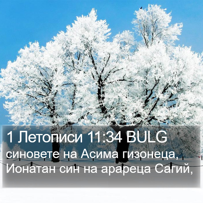 1 Летописи 11:34 BULG Bible Study