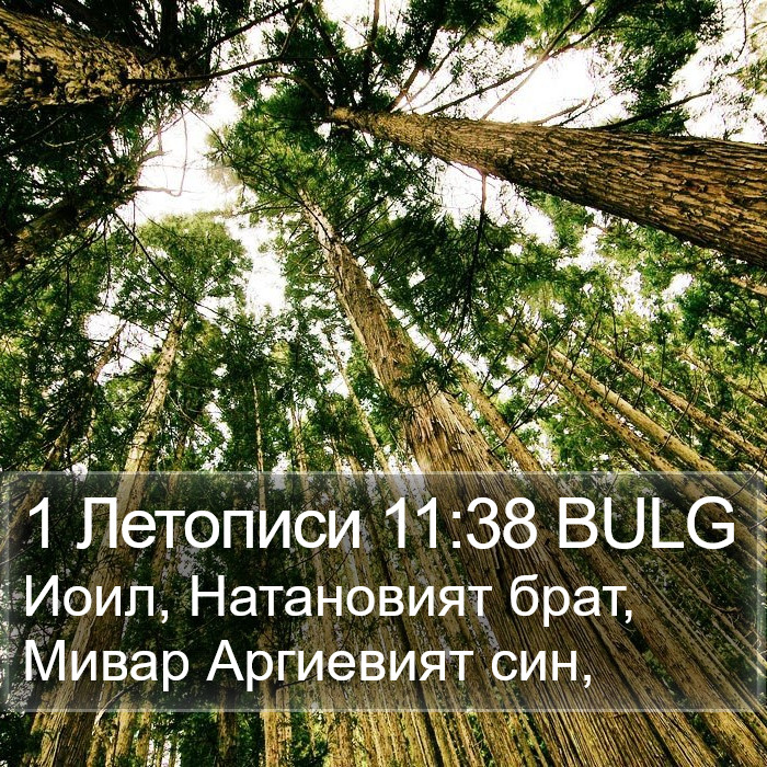 1 Летописи 11:38 BULG Bible Study