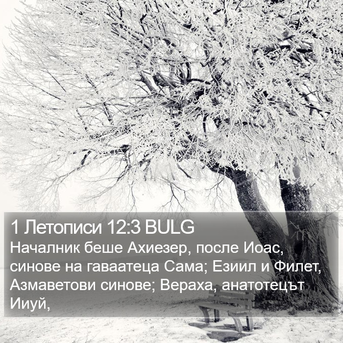 1 Летописи 12:3 BULG Bible Study