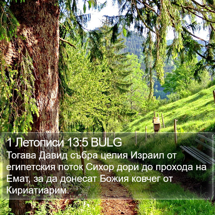 1 Летописи 13:5 BULG Bible Study