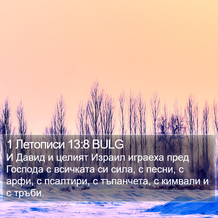 1 Летописи 13:8 BULG Bible Study