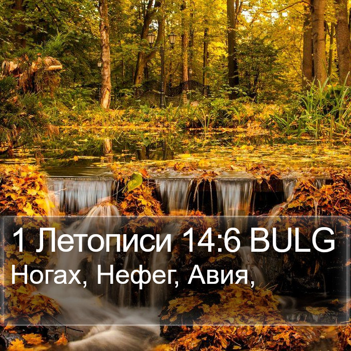 1 Летописи 14:6 BULG Bible Study