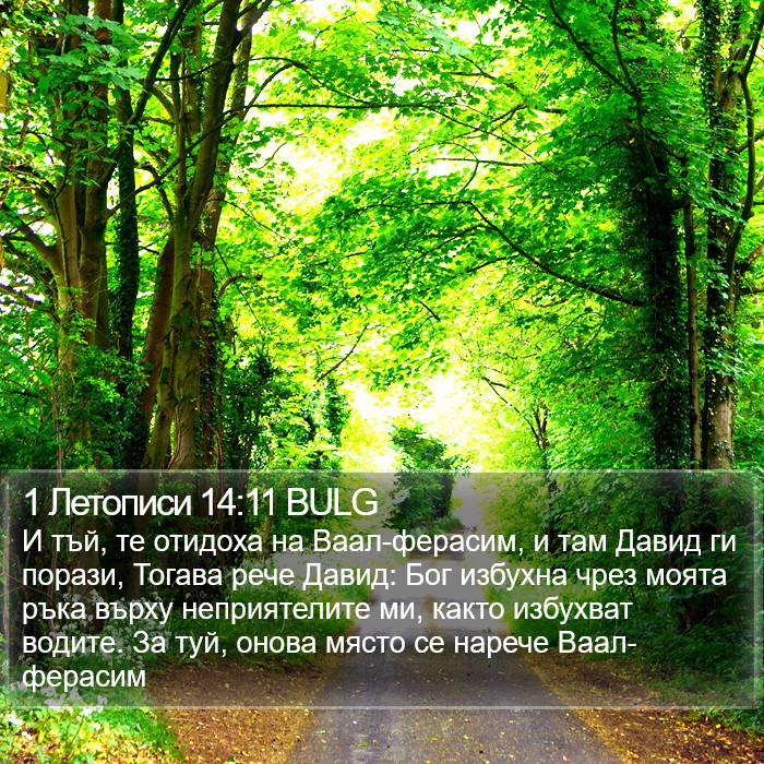 1 Летописи 14:11 BULG Bible Study