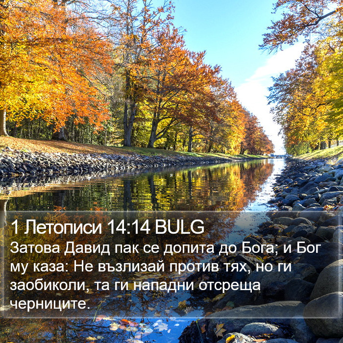 1 Летописи 14:14 BULG Bible Study