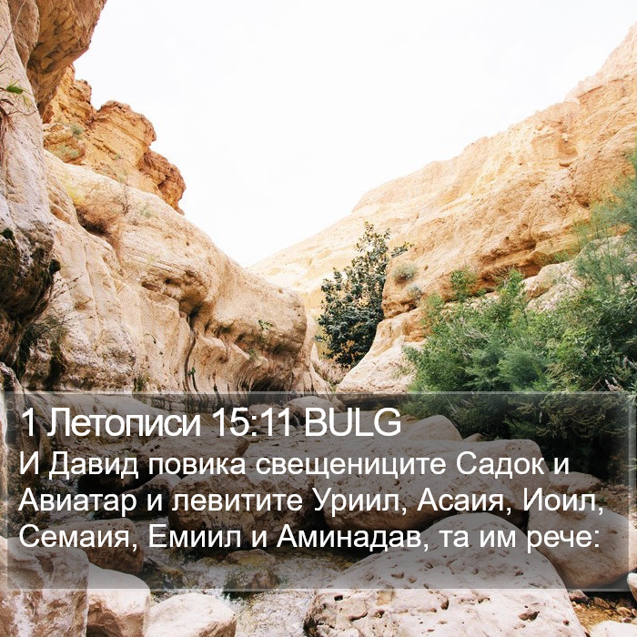 1 Летописи 15:11 BULG Bible Study