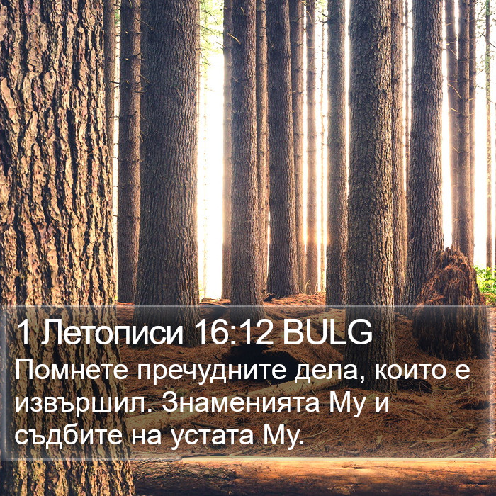 1 Летописи 16:12 BULG Bible Study