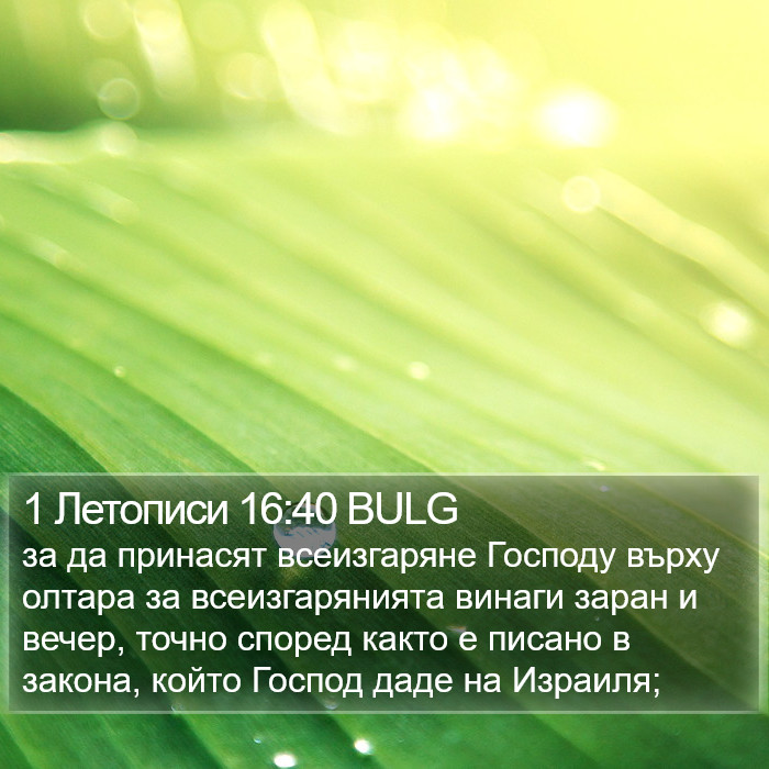 1 Летописи 16:40 BULG Bible Study