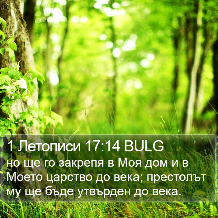 1 Летописи 17:14 BULG Bible Study