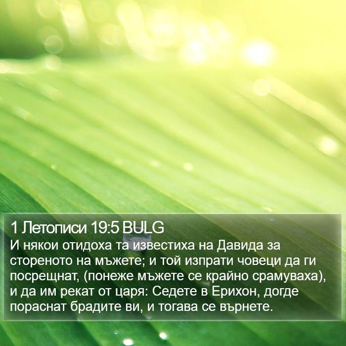 1 Летописи 19:5 BULG Bible Study