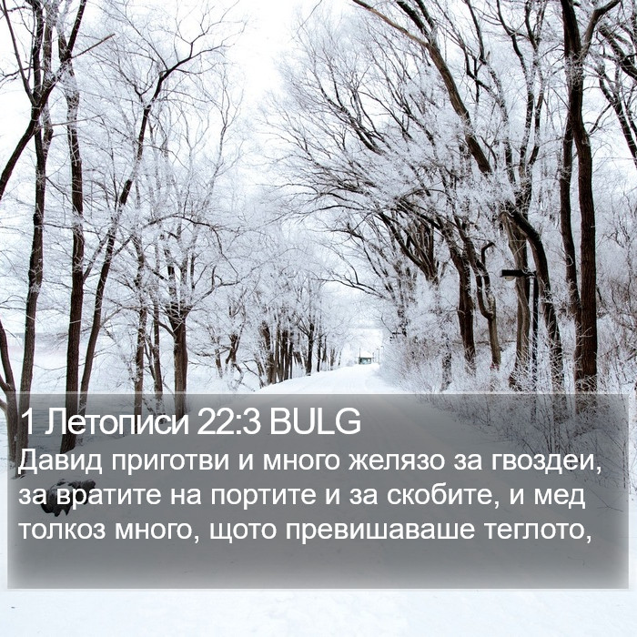 1 Летописи 22:3 BULG Bible Study