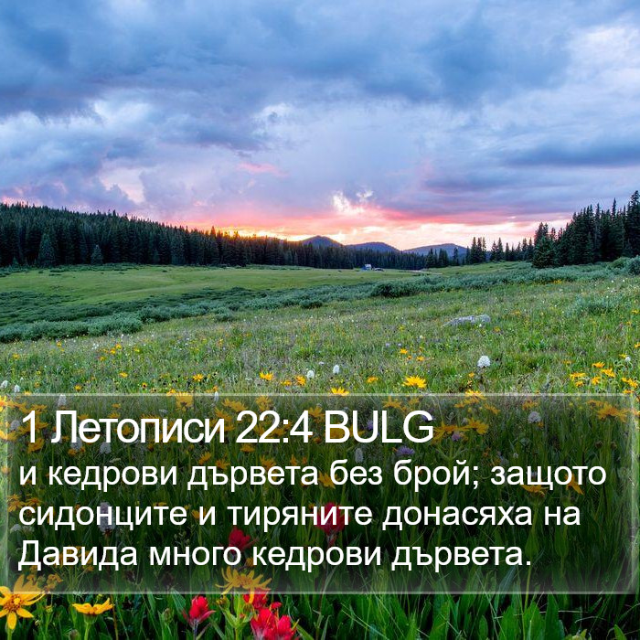 1 Летописи 22:4 BULG Bible Study