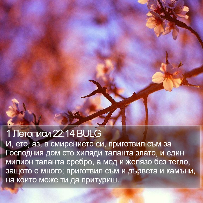 1 Летописи 22:14 BULG Bible Study