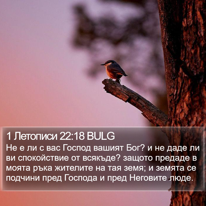 1 Летописи 22:18 BULG Bible Study