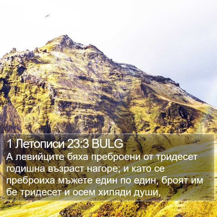 1 Летописи 23:3 BULG Bible Study