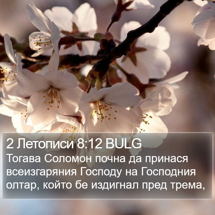 2 Летописи 8:12 BULG Bible Study