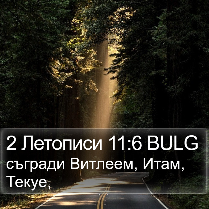 2 Летописи 11:6 BULG Bible Study