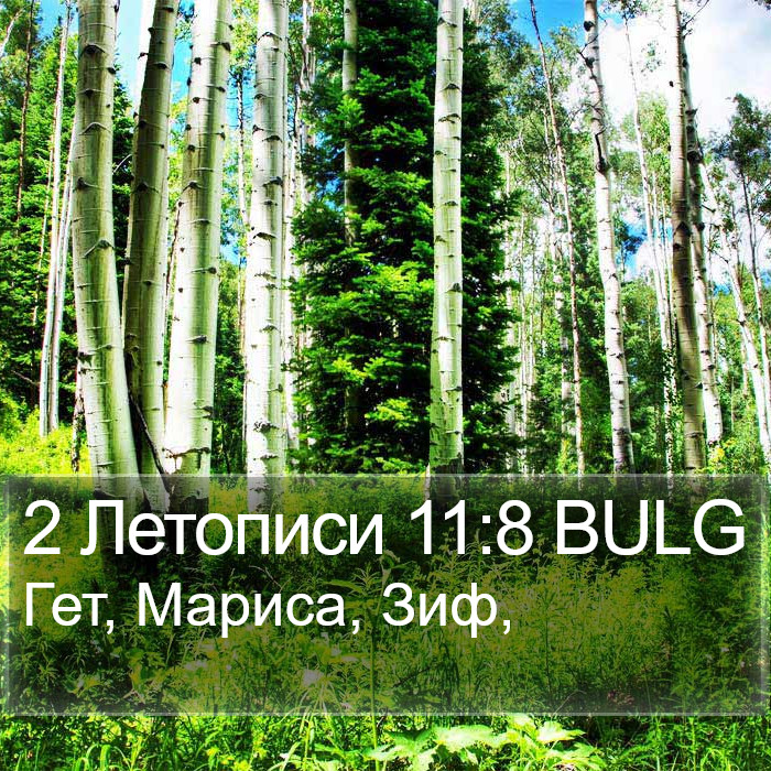 2 Летописи 11:8 BULG Bible Study