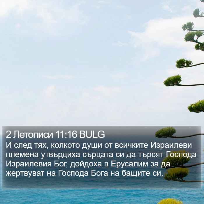 2 Летописи 11:16 BULG Bible Study