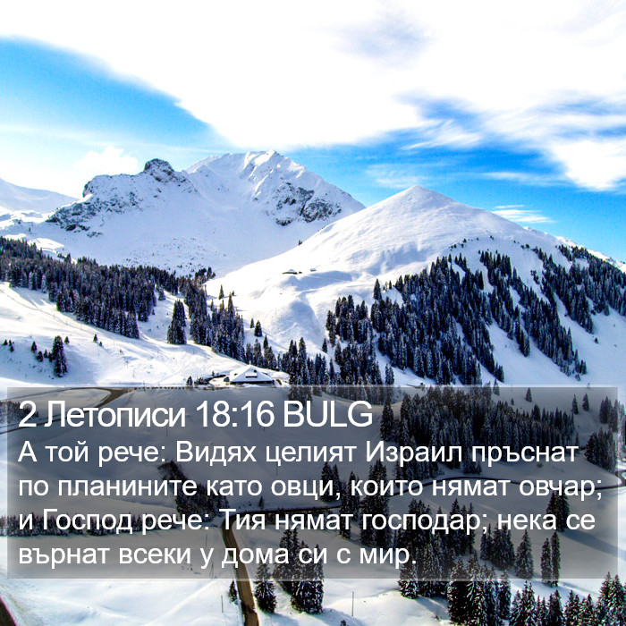 2 Летописи 18:16 BULG Bible Study