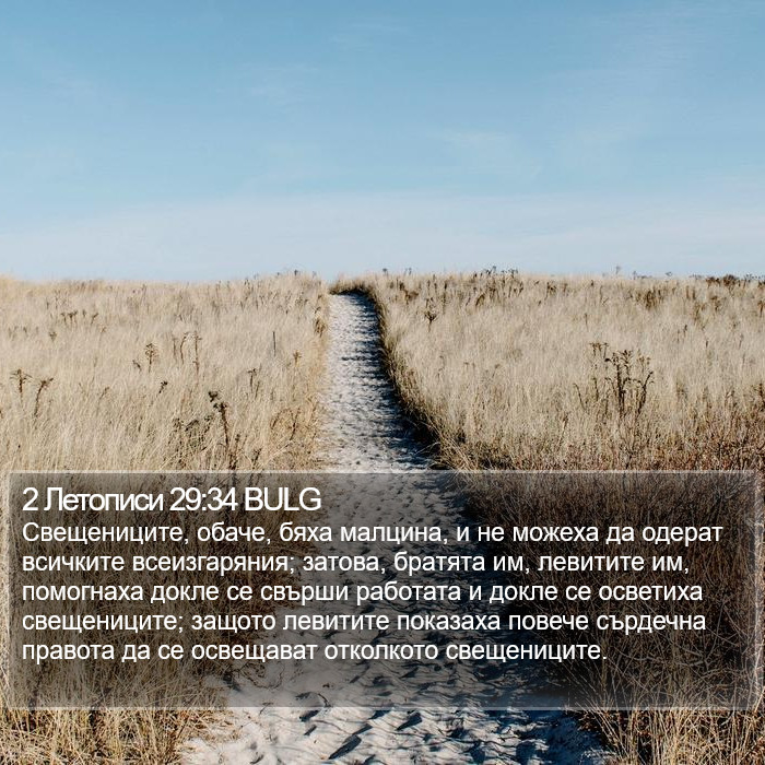 2 Летописи 29:34 BULG Bible Study