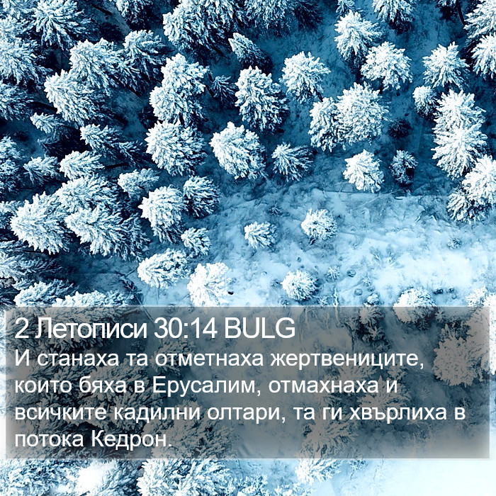 2 Летописи 30:14 BULG Bible Study