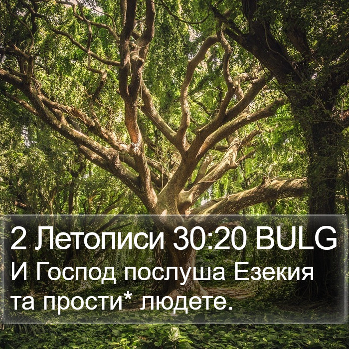 2 Летописи 30:20 BULG Bible Study