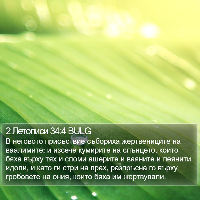 2 Летописи 34:4 BULG Bible Study