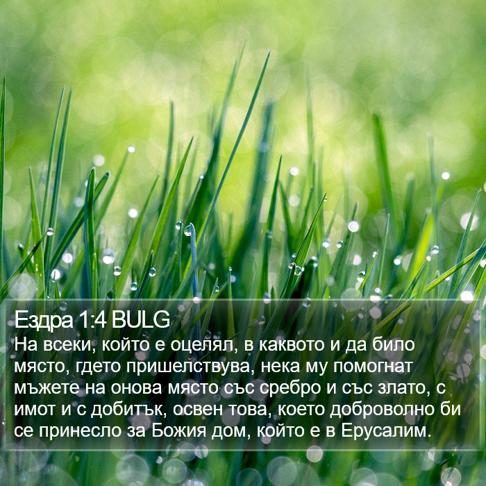 Ездра 1:4 BULG Bible Study