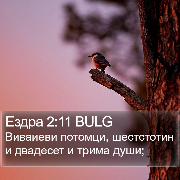 Ездра 2:11 BULG Bible Study