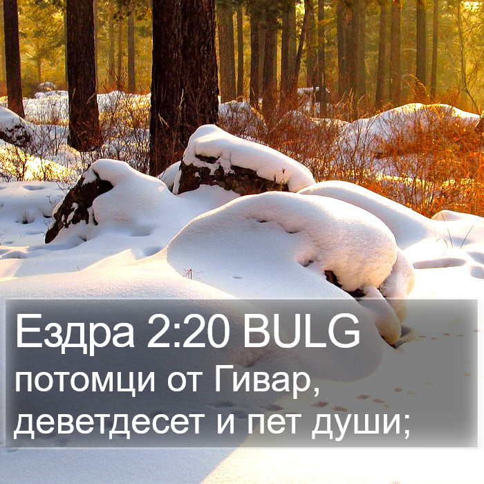 Ездра 2:20 BULG Bible Study