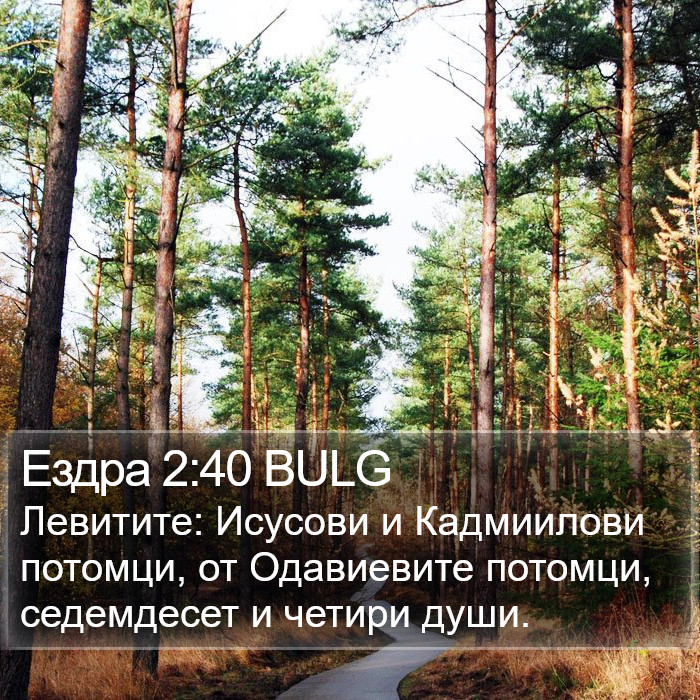 Ездра 2:40 BULG Bible Study